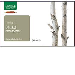 image - 931381089 - LINFA DI BETULLA BIOLOGICO 20 AMPOLLE BEVIBILI DA 15 ML - 4863306_1.jpg