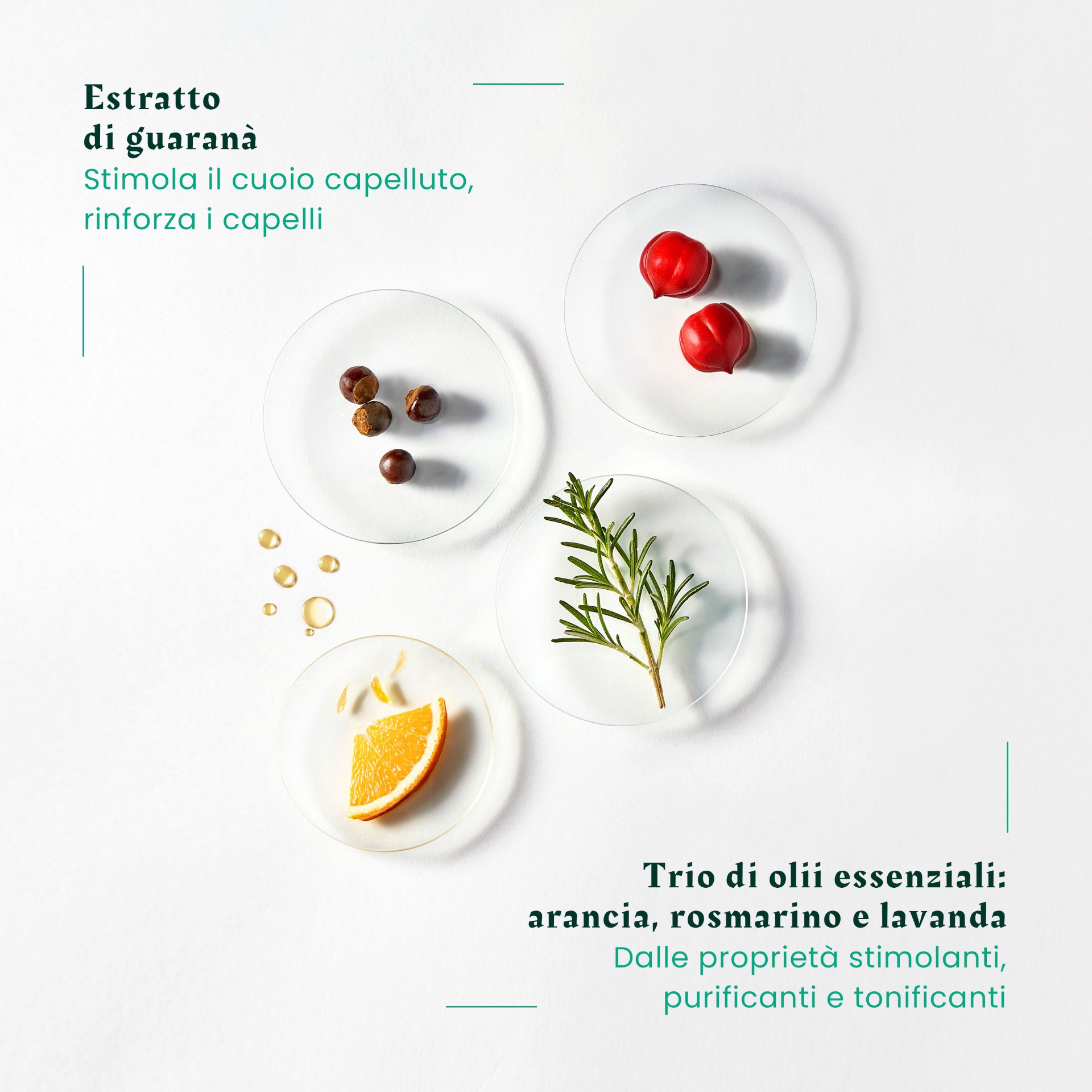 985649918 - FORTICEA LOZIONE TONICA FORTIFICANTE 100 ML - 4742294_6.jpg