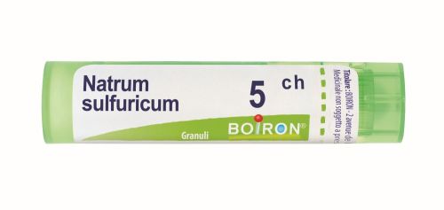 046625620 - Boiron Natrum Sulfuricum 5ch Granuli - 0001314_1.jpg
