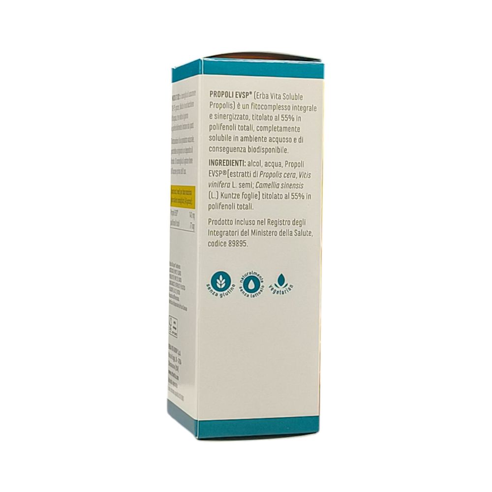 989006236 - PROPOLI EVSP ESTRATTO IDRO NO ALCOOL 1 LITRO - 4809269_2.jpg