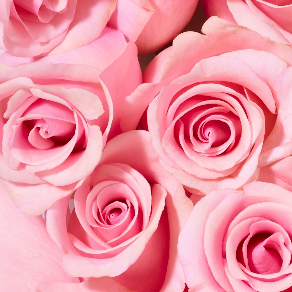 image - 987408426 - NUXE VROSE GEL DOCCIA 750 ML - 4745177_4.jpg