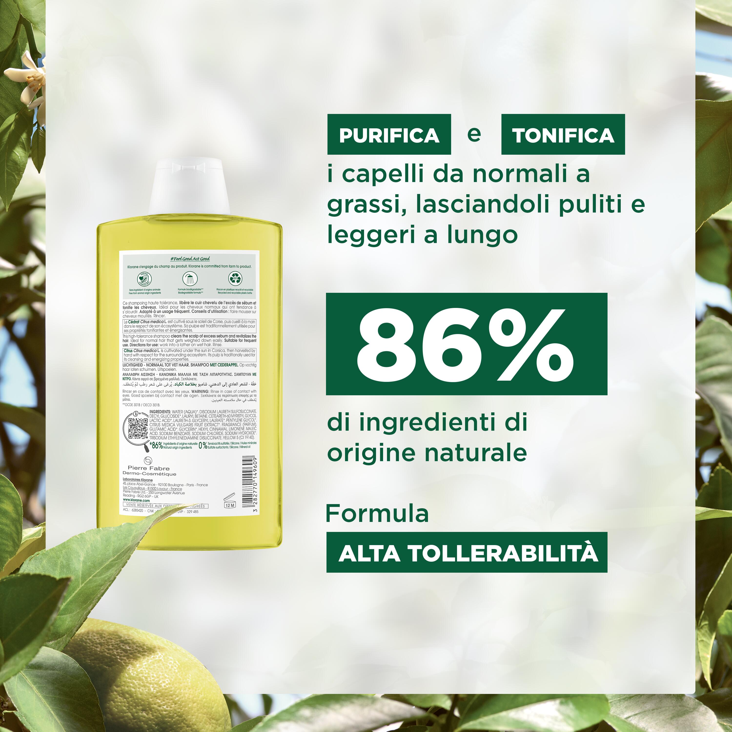 image - 983592369 - KLORANE SHAMPOO PURIFYING AL CEDRO 400 ML - 4709763_4.jpg