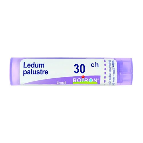 image - 050835293 - LEDUM PALUSTRE (BOIRON)*80 granuli 30 CH contenitore multidose 4G - 4844130_1.jpg