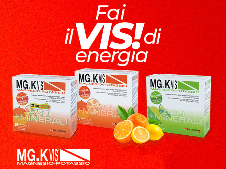 Card MGK-Vis