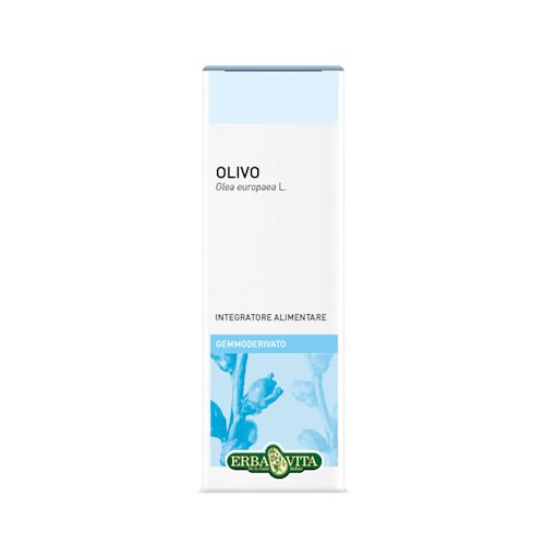 902660063 - Erba Vita Gemmoderivato Olivo 50ml - 4713855_3.jpg