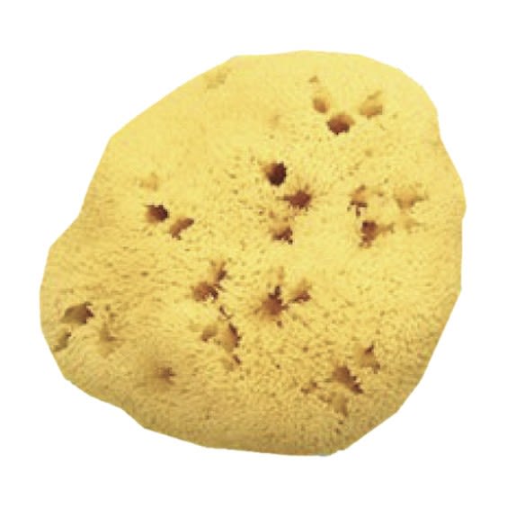image - 900589514 - Spugna naturale di alta qualità, ideale per pelli sensibili e irritate, disponibile in due varianti con fori larghi o piccoli, per un uso delicato e duraturo. - 4869656_2.jpg