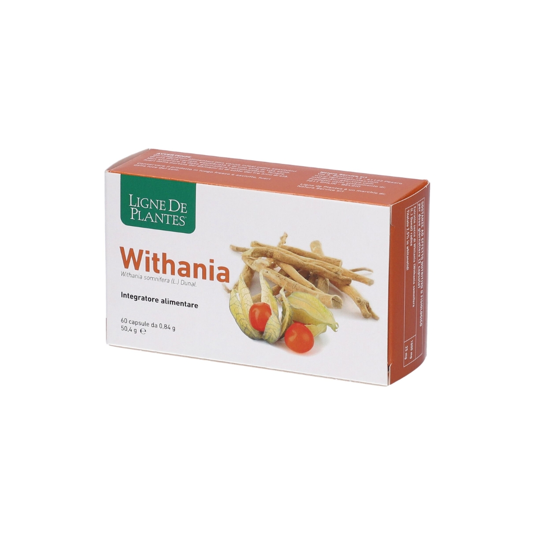 image - 940376510 - WITHANIA 60 CAPSULE - 4864790_2.jpg