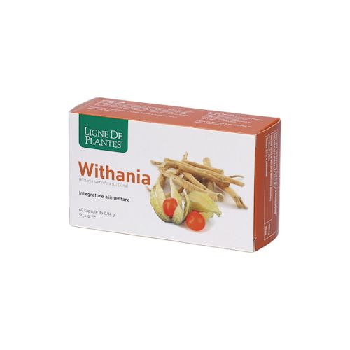 image - 940376510 - WITHANIA 60 CAPSULE - 4864790_2.jpg