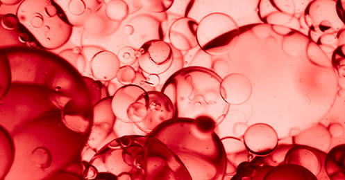 image - Ingredienti parte 2