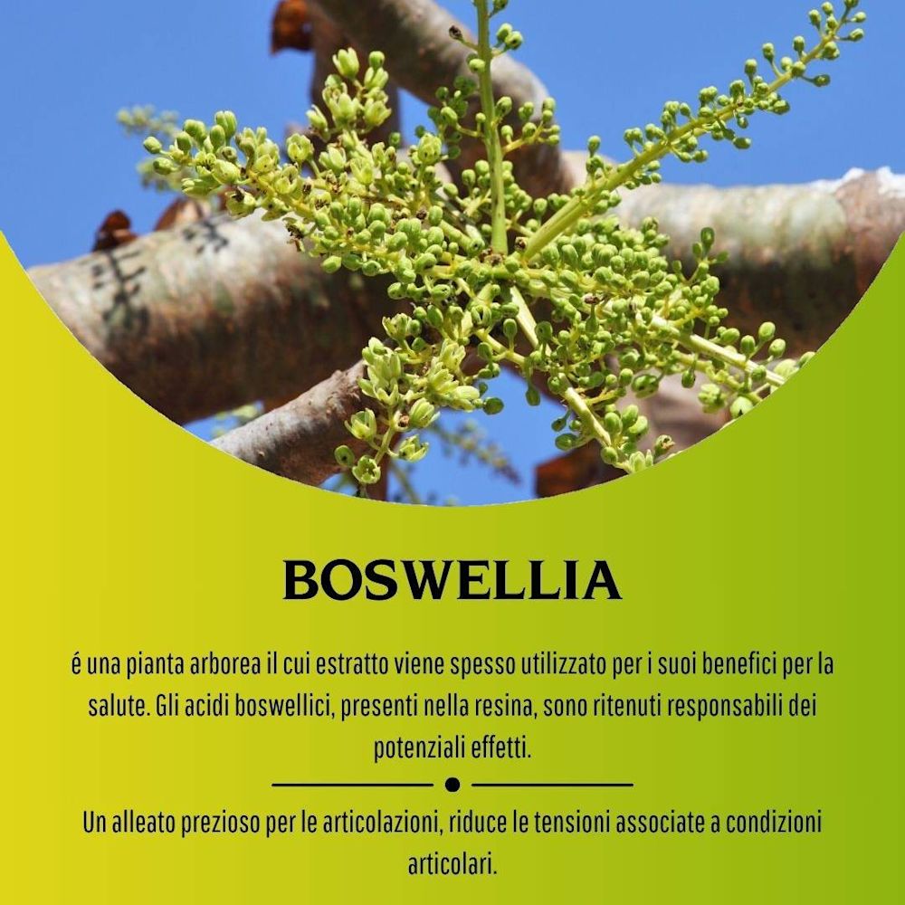 906084924 - BOSWELLIA 100 CAPSULE - 4715087_5.jpg