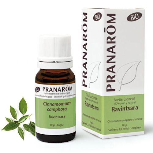 image - 926848298 - Pranarom Olio Essenziale Bio Ravintsara 10ml - 4721143_1.jpg