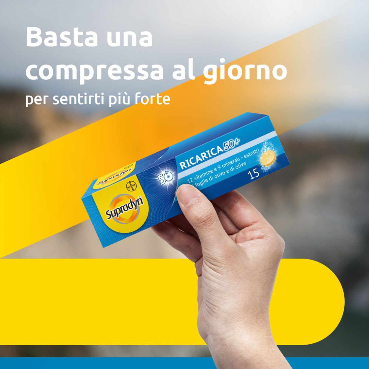 image - 935662561 -  - 7862874_2.jpg