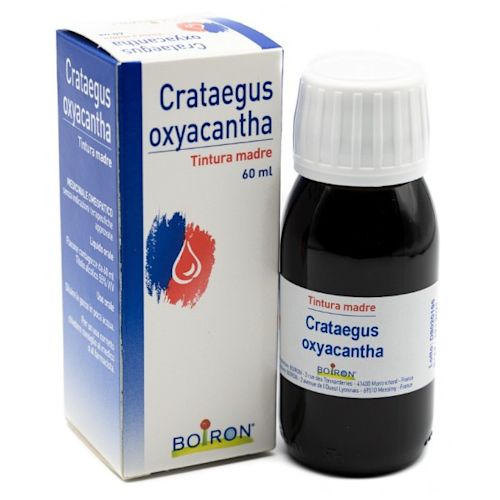 800112361 - Boiron Crataegus Oxyacantha Tintura Madre 60ml - 7869587_1.jpg