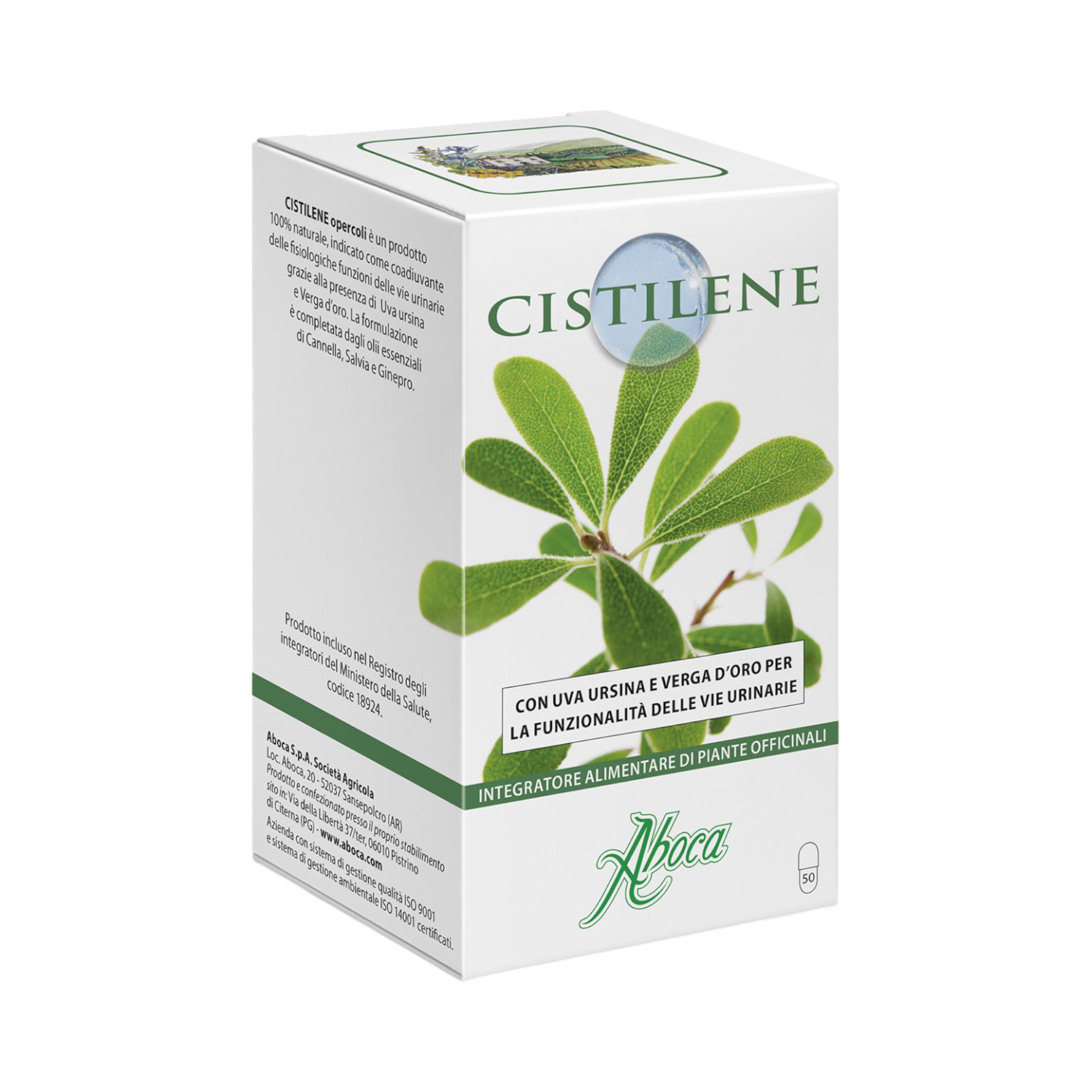 904212180 - CISTILENE 50 OPERCOLI - 7887321_3.jpg