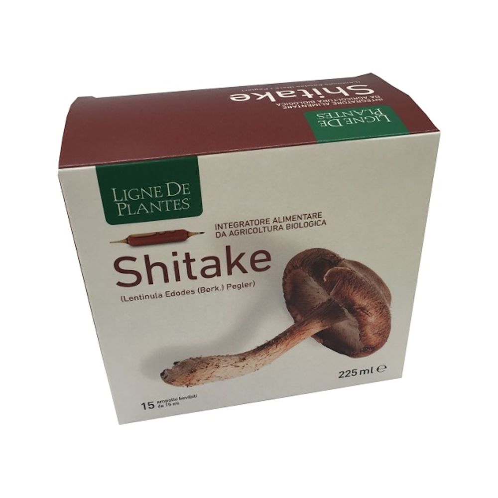 image - 947251447 - - 4865356_2.jpg