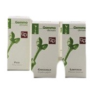 image - 900310261 - Macerato glicerinato di kiwi da 100 ml che agisce favorevolmente sulla funzione fisiologica dei tessuti connettivi; assumere 50 gocce diluite in acqua, due volte al giorno. - 4870205_2.jpg