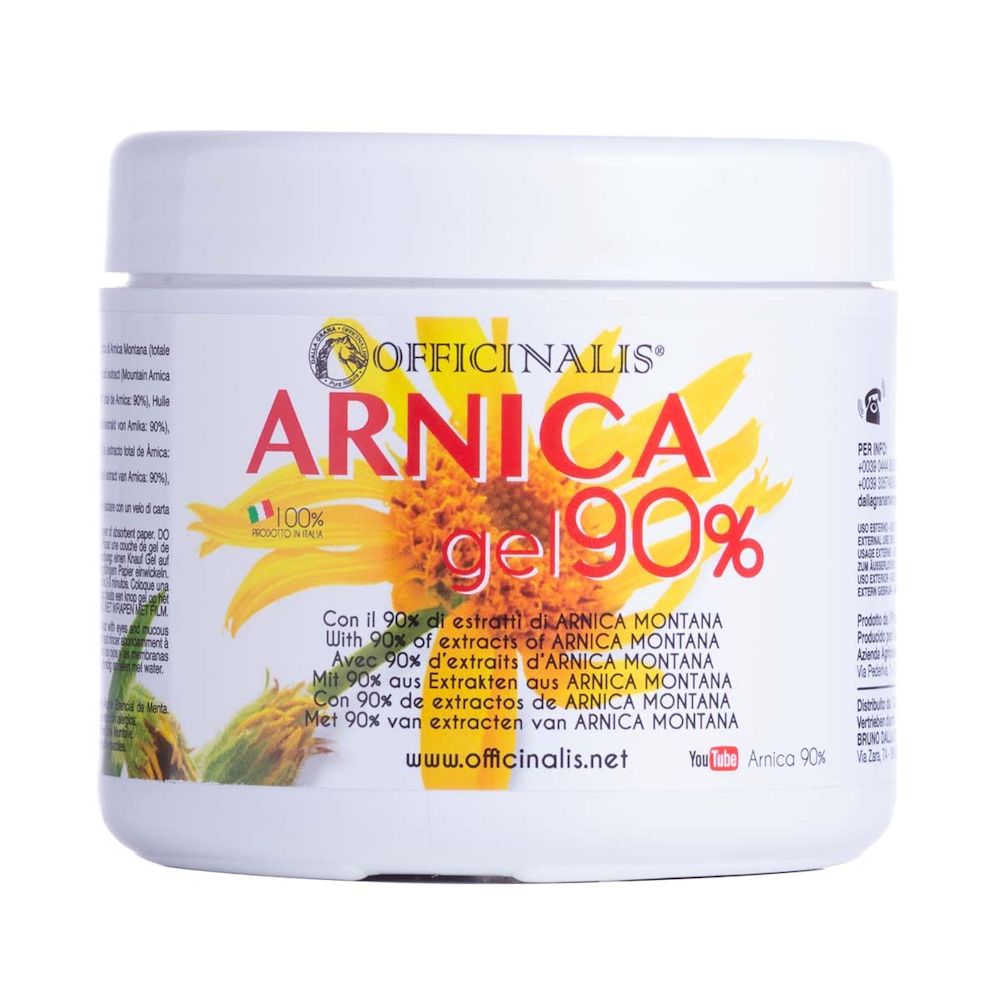 973908597 - ARNICA GEL 90% 500 ML - 0005250_2.jpg