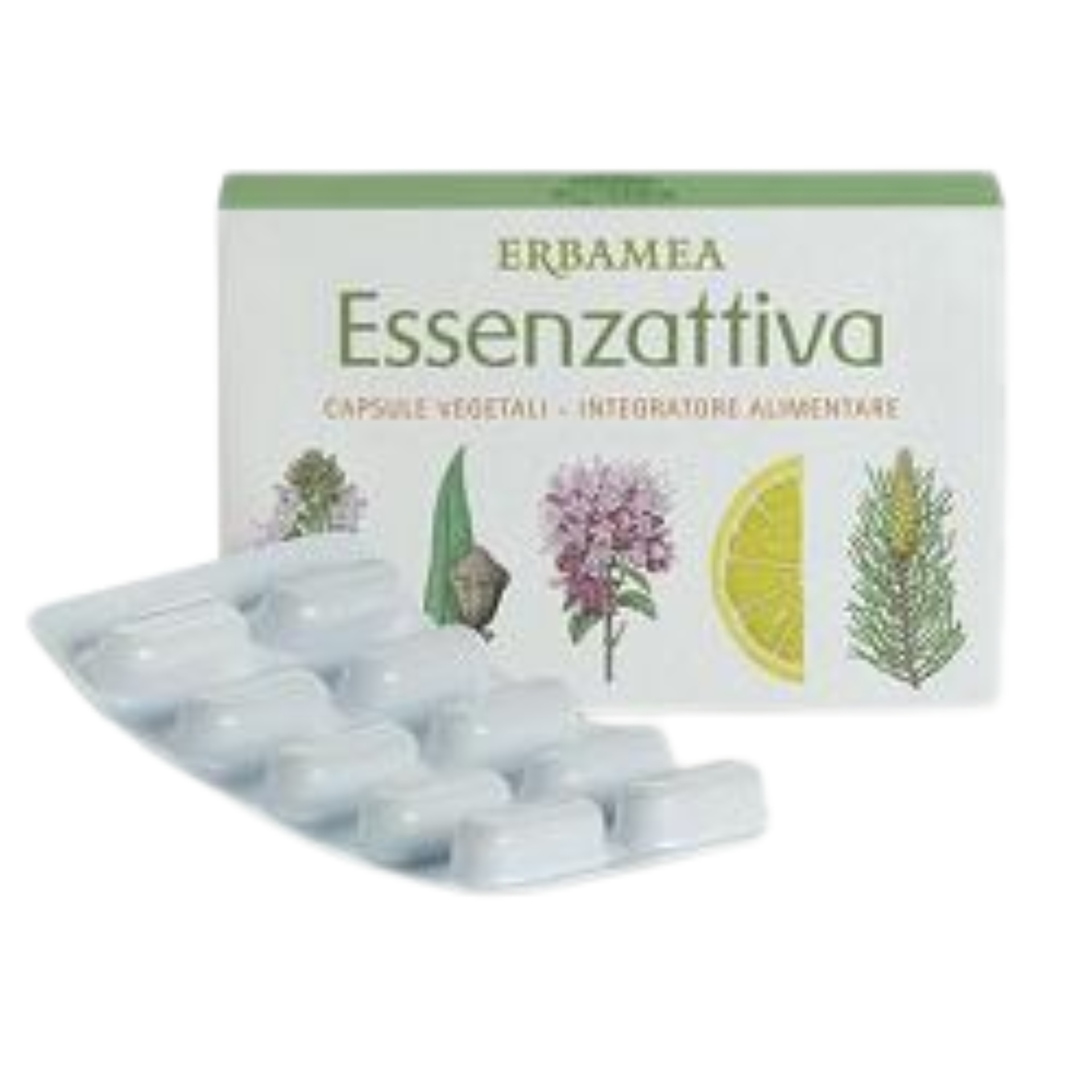 922374297 -  - 4718586_1.jpg