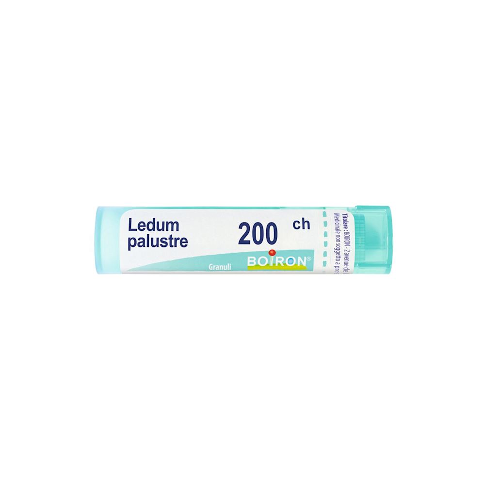 050835305 - LEDUM PALUSTRE (BOIRON)*80 granuli 200 CH contenitore multidose - 4792346_1.jpg