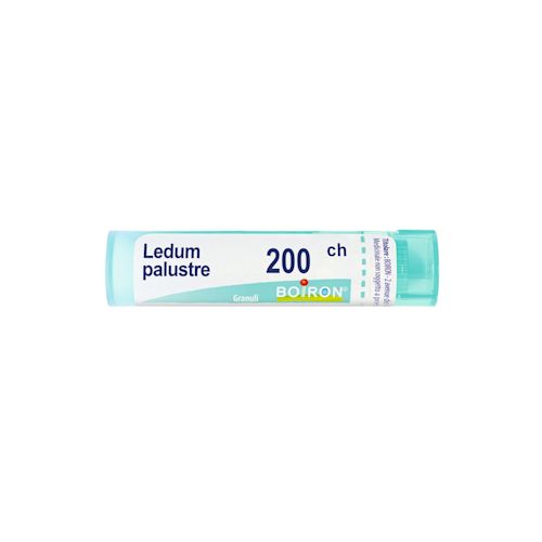 050835305 - LEDUM PALUSTRE (BOIRON)*80 granuli 200 CH contenitore multidose - 4792346_1.jpg