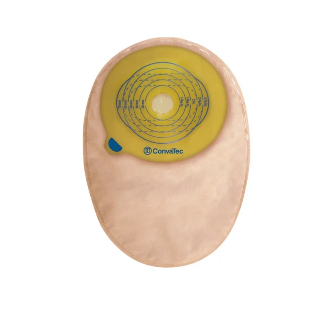 image - 925628113 -  - 4865435_1.jpg