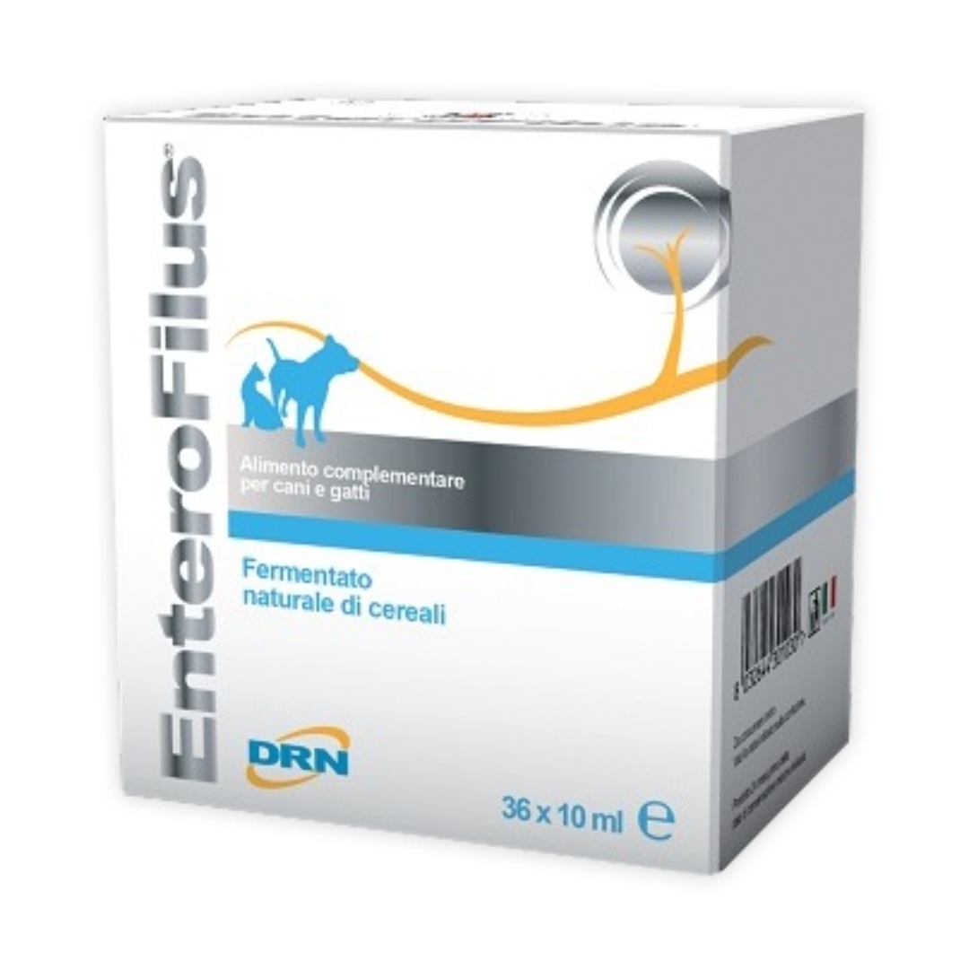 Drn Enterofilus Mangime Complementare Digestione 36 Fiale