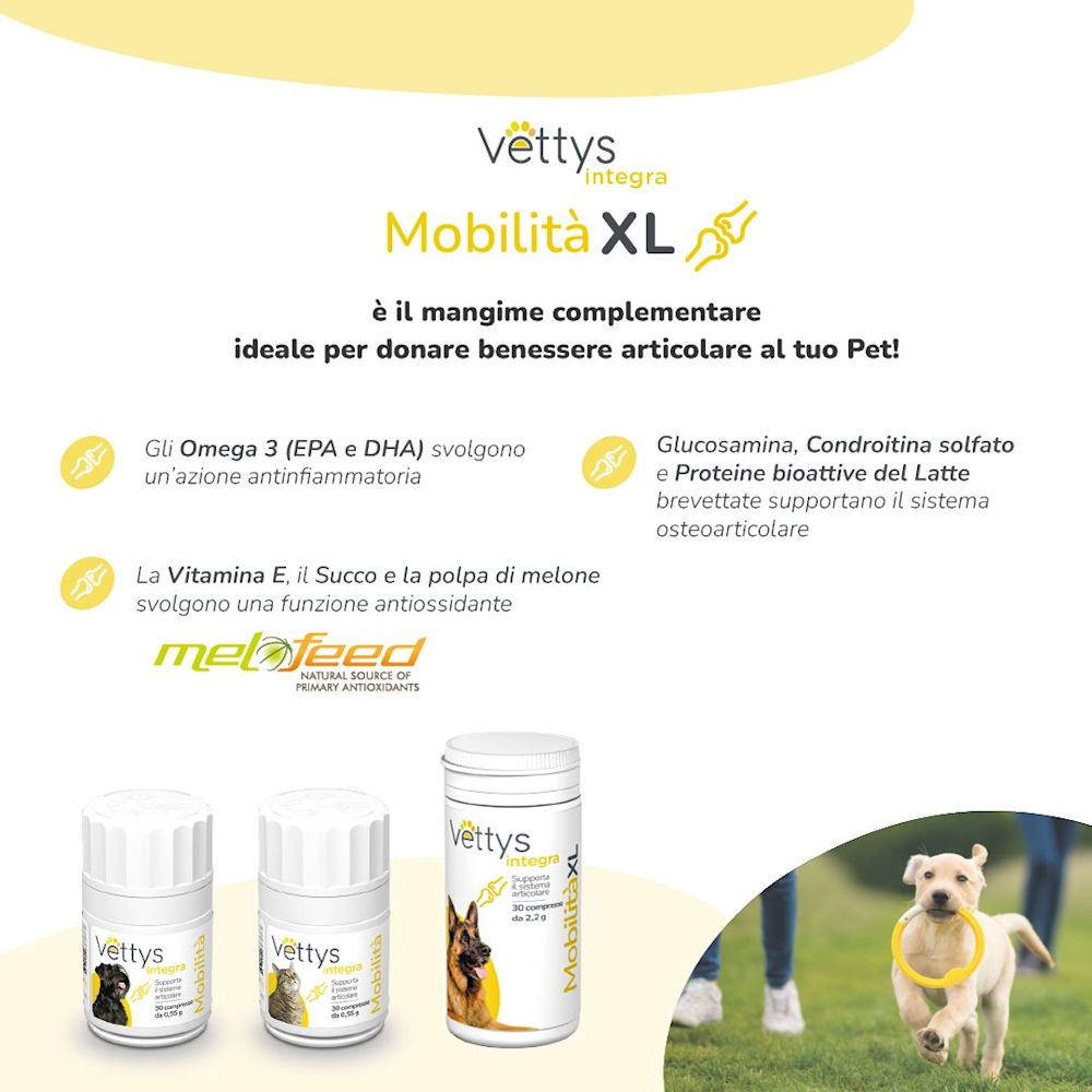 984866196 - Vettys Integra Mobilità XL Cani 30 compresse masticabili - 0005328_5.jpg
