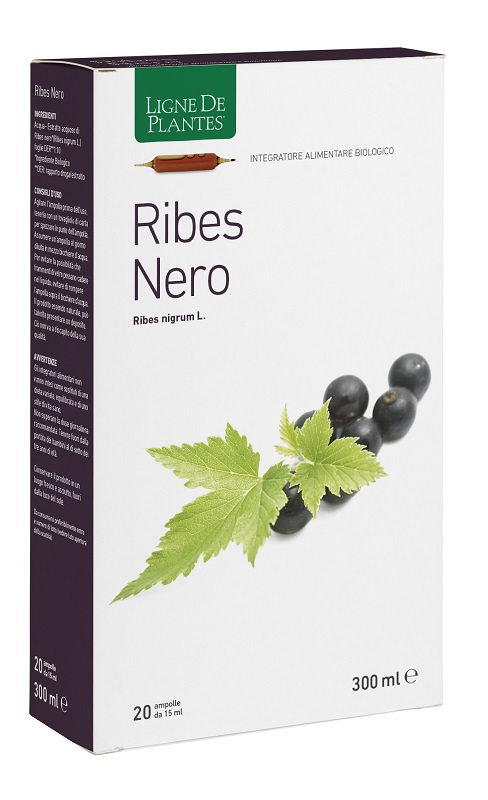 image - 930500665 - Soluzione orale a base di ribes nero biologico, utile per il drenaggio dei liquidi corporei e la funzionalit&agrave; delle vie urinarie. - 4867938_1.jpg
