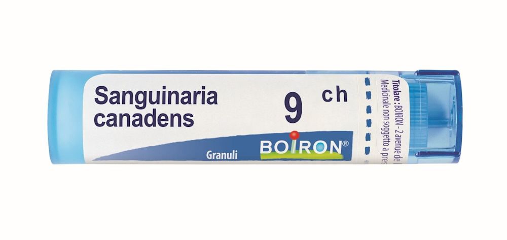 045878081 - Boiron Sanguinaria Canadensis 9ch 80 granuli multidose - 0000895_1.jpg