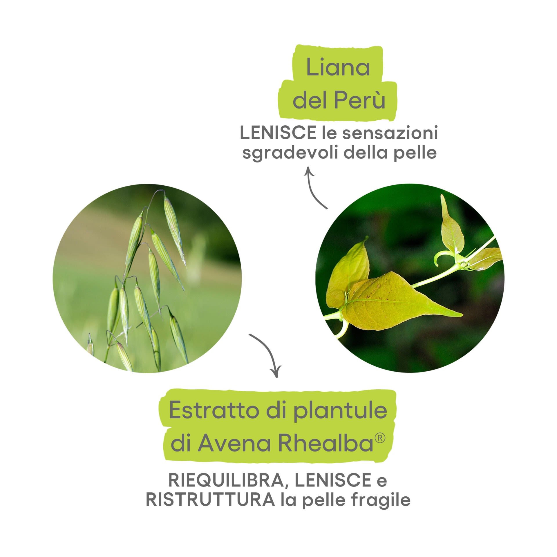 image - 987337641 - CUTALGAN ROLL ON EFFETTO FRESCO 10 ML - 4759354_7.jpg