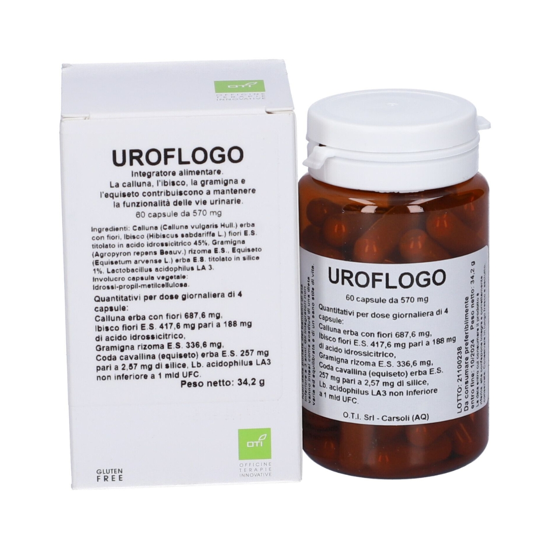 image - 924765480 -  - 4865438_1.jpg