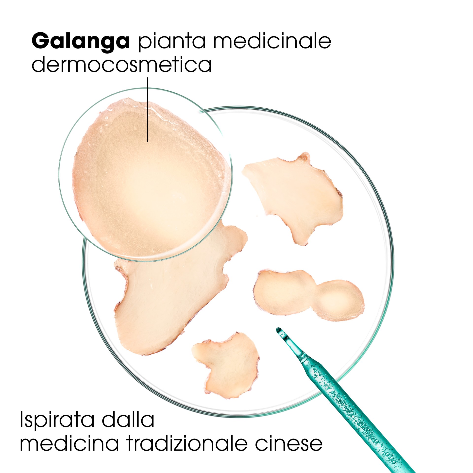 951124876 - KLORANE SHAMPOO TRATTANTE & RIEQUILIBRANTE GALANGA 200 ML 25 - 4842963_3.jpg