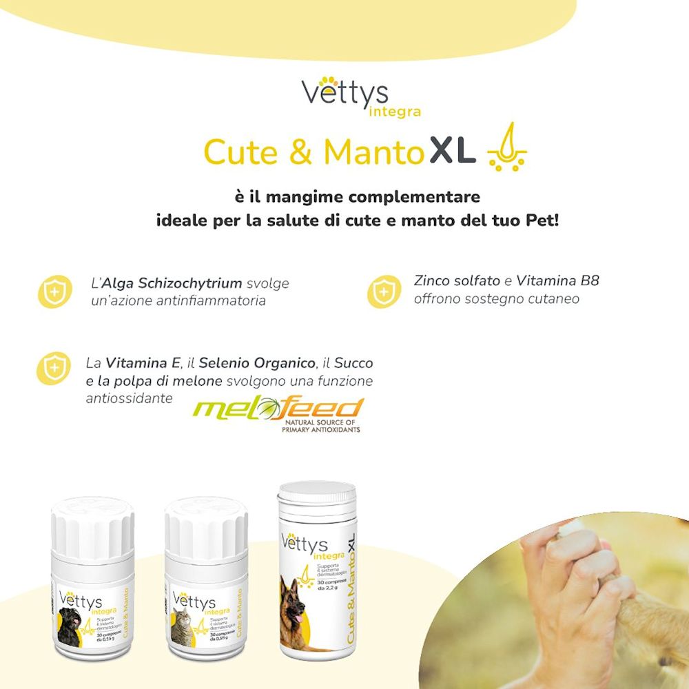 985915685 - Vettys Integra Cute Manto XL Cane 30 compresse masticabili - 0005347_5.jpg