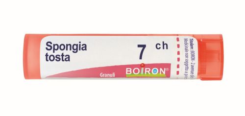 800025090 - Boiron Spongia Tosta 7ch Granuli - 4711878_2.jpg
