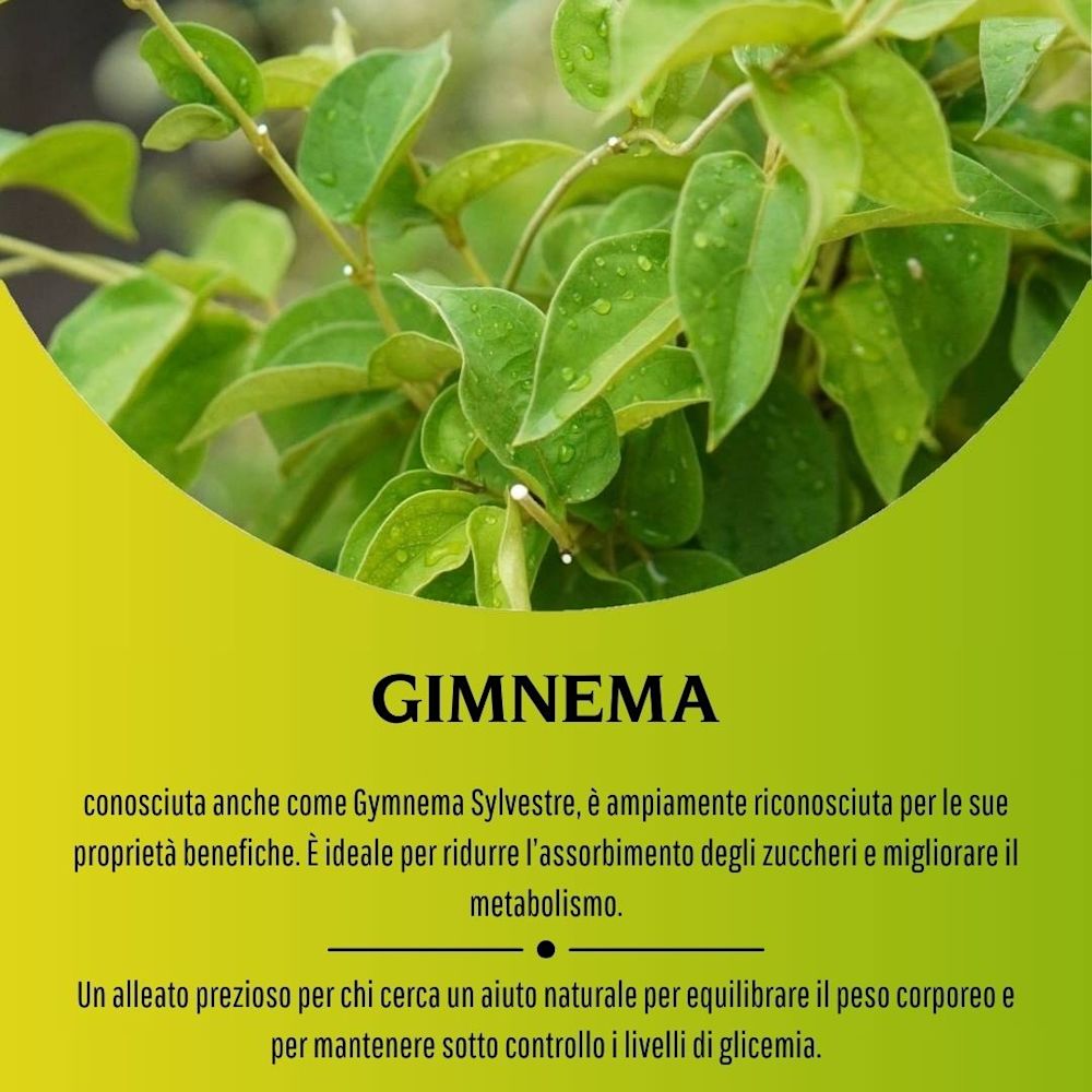 902193224 - GIMNEMA 100 CAPSULE 430MG - 4713520_7.jpg