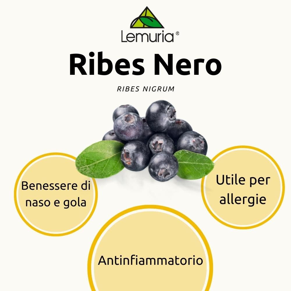 image - 906279245 - Lemuria Et Ribes Nero 30ml - 7869510_3.jpg