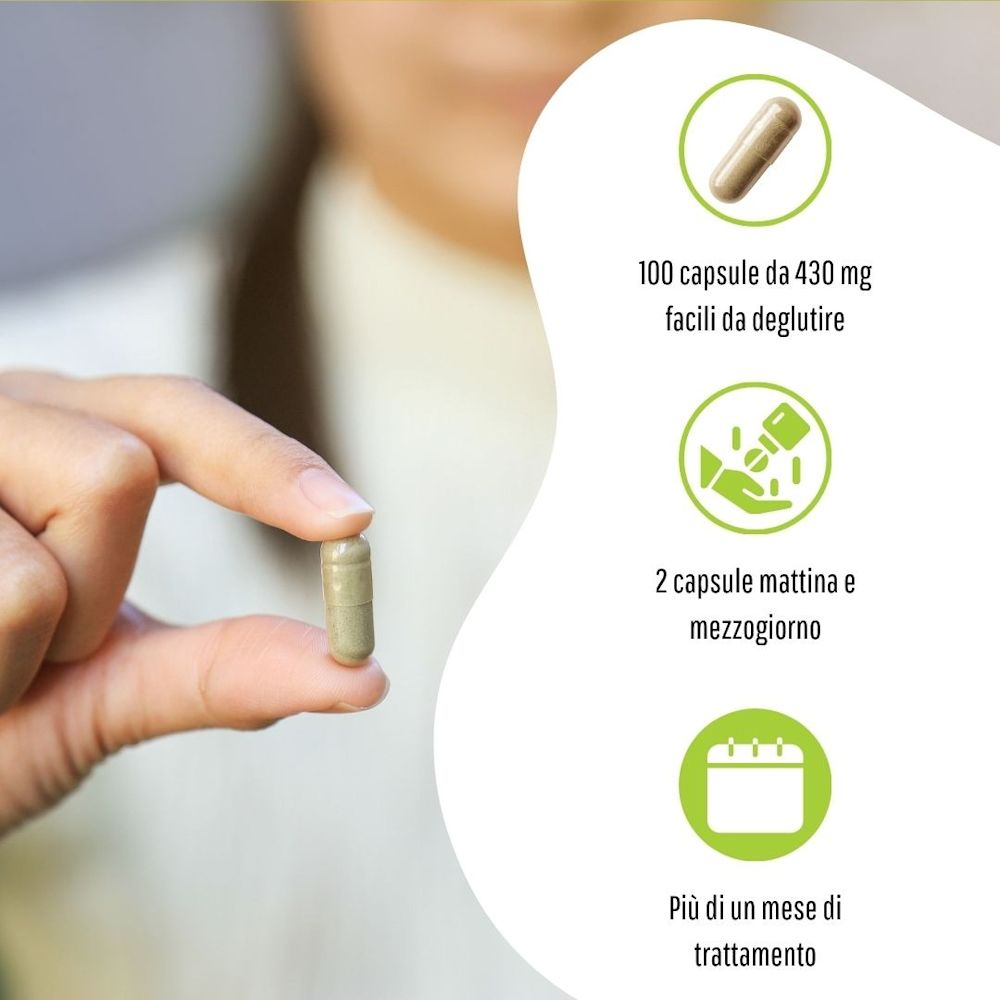 902193313 - GUARANA 100 CAPSULE 430MG - 4713523_7.jpg