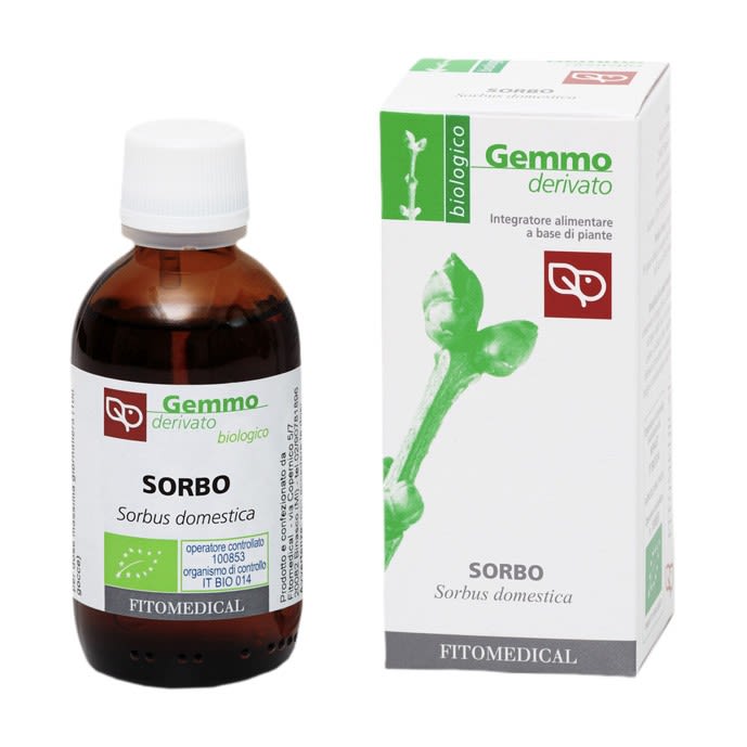 image - 987318969 - Integratore alimentare a base di gemme di sorbo biologico, utile per la routine quotidiana. - 4868619_2.jpg
