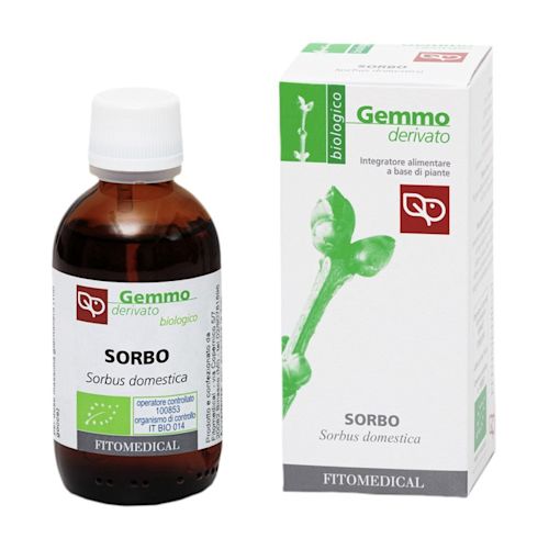 image - 987318969 - Integratore alimentare a base di gemme di sorbo biologico, utile per la routine quotidiana. - 4868619_2.jpg