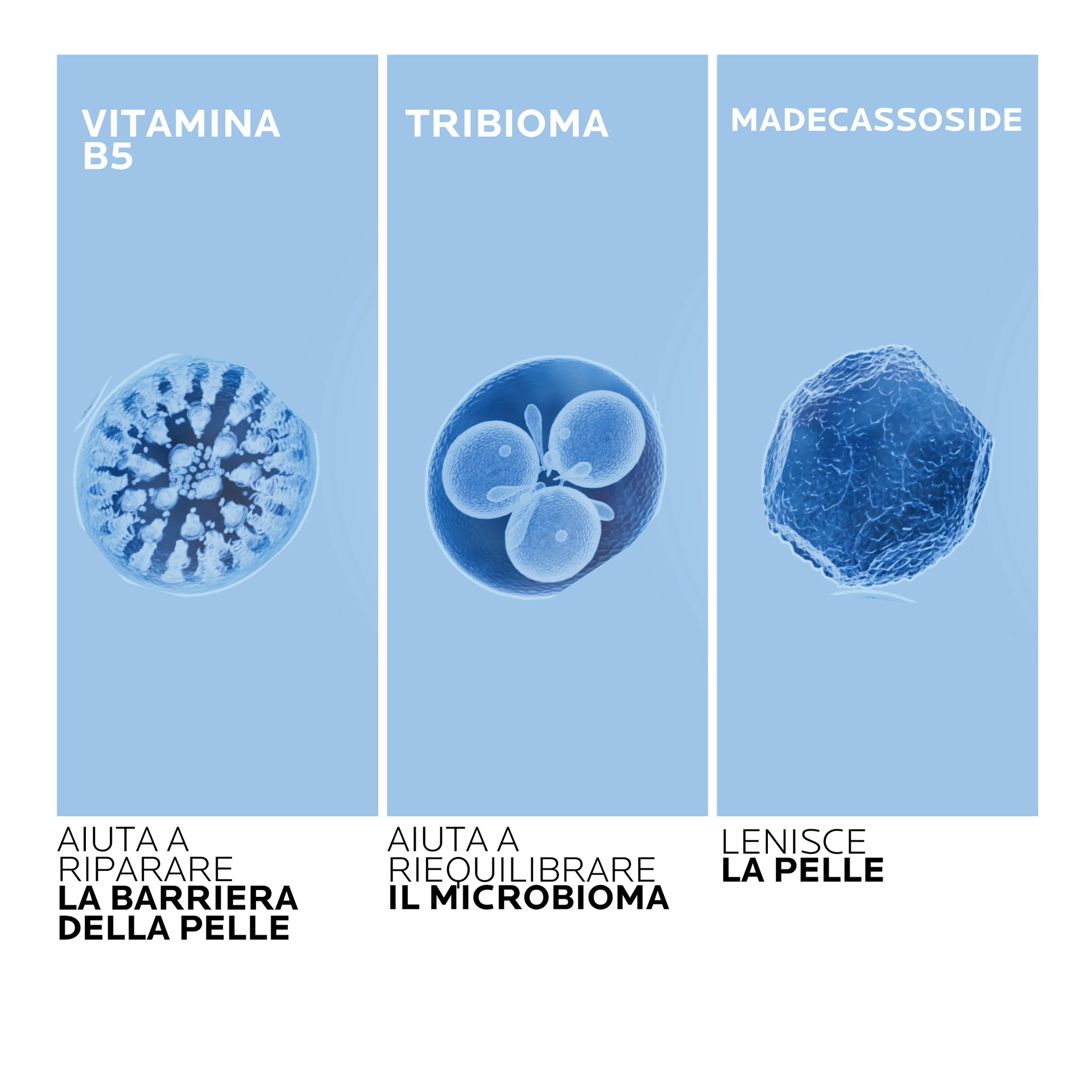 989414863 - CICAPLAST KIT X2 NATALE 24 30ML + 40ML - 4792894_7.png