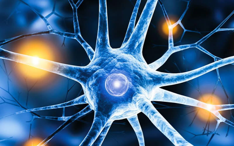 Img descrizione Mavosten