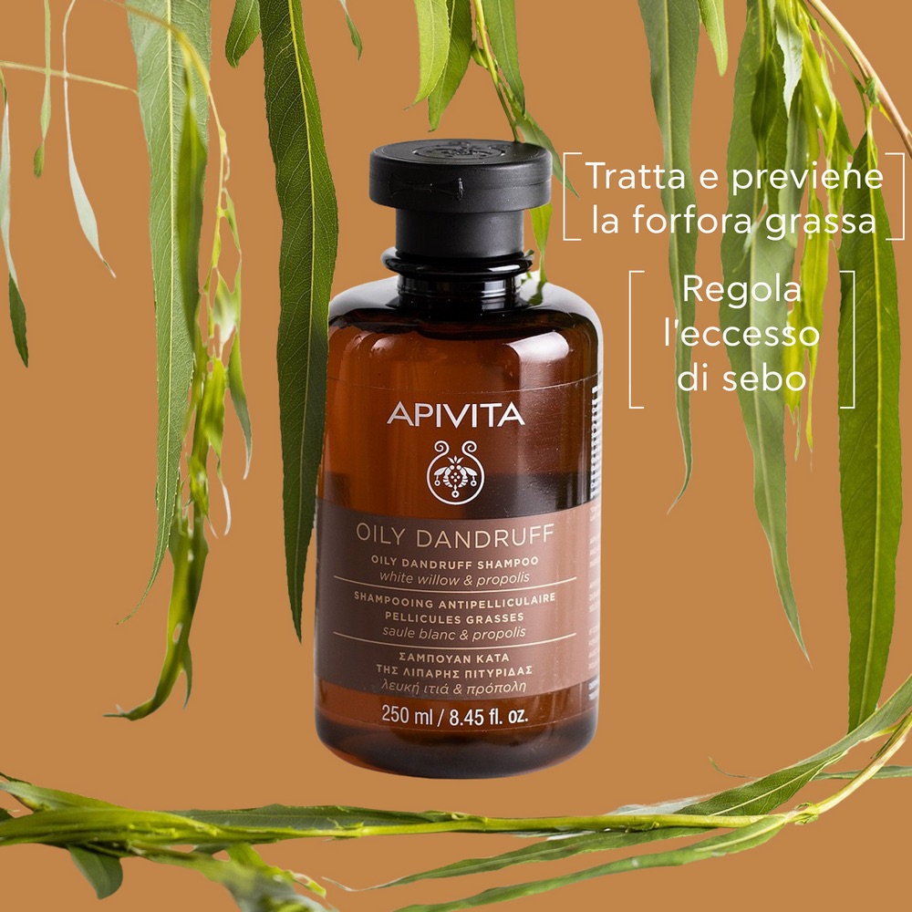 image - 972758888 - APIVITA OILY DANDRUFF SHAMPOO WILLOW E PROPOLIS 250 ML - 4729950_2.jpeg