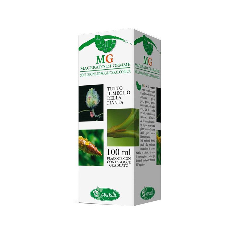 Quercia Macerato Di Gemme 100ml