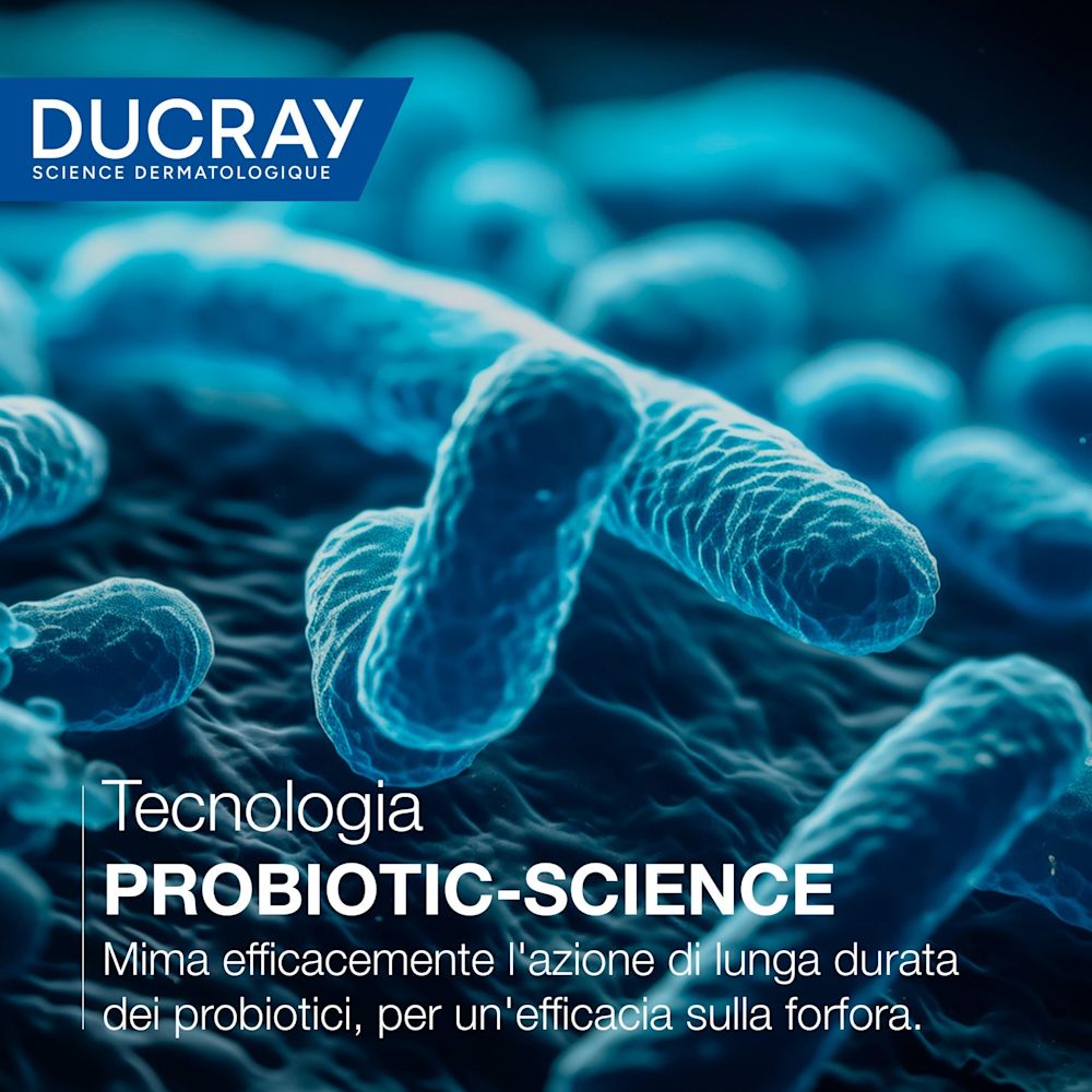 image - 989260878 - - 4820088_16.jpg