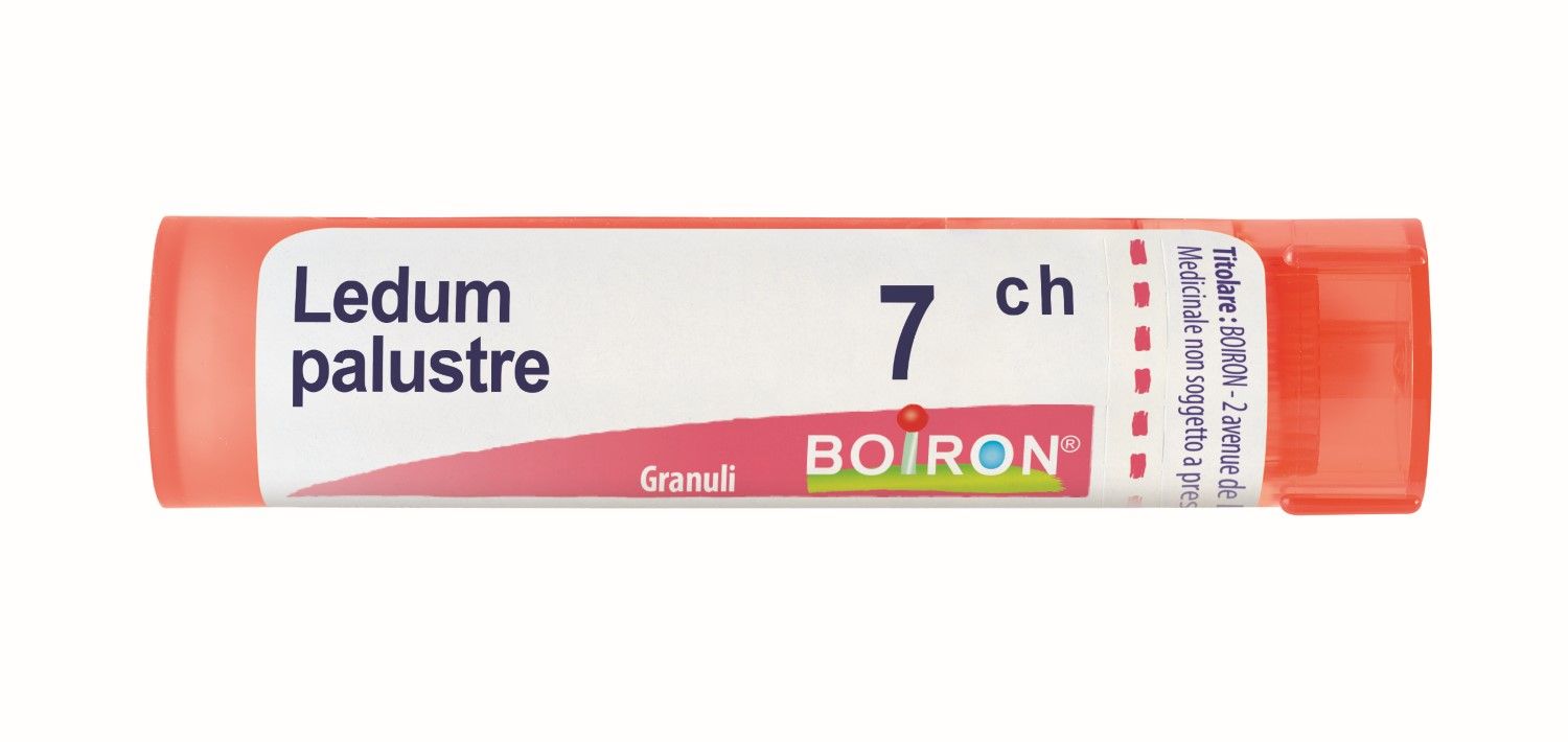 Boiron Ledum Palustre 7ch Granuli