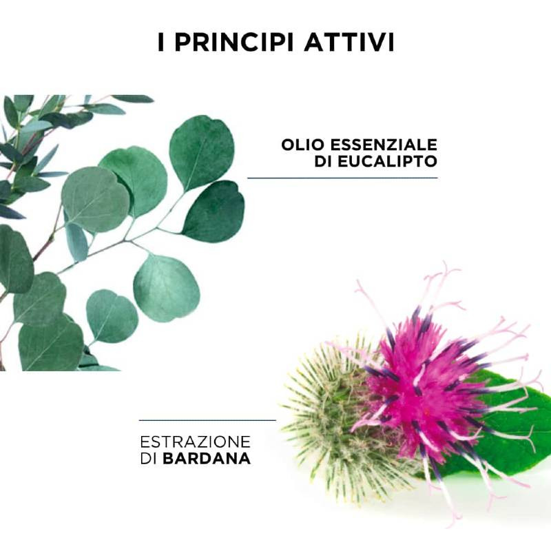 976318269 - Phyto Phytodetox Shampoo Purificante 125ml - 4703945_4.jpg