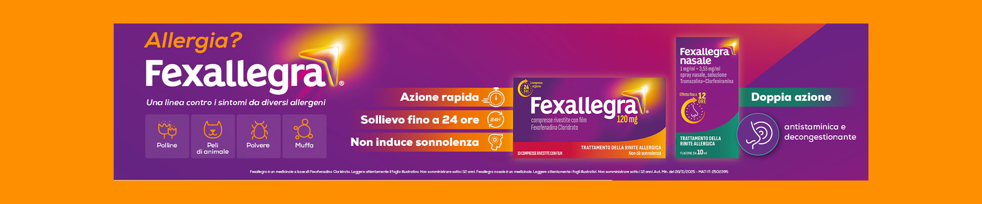 image - Promo Fexallegra