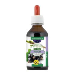 927102018 - Ribes Nigrum Gemmoderivato Integratore allergie 100ml - 4721308_2.jpg