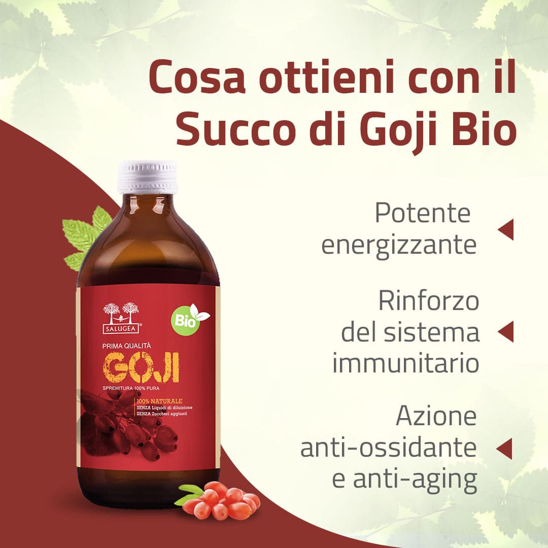 image - 982000655 - SALUGEA SUCCO GOJI BIO 500 ML - 4738124_5.jpg
