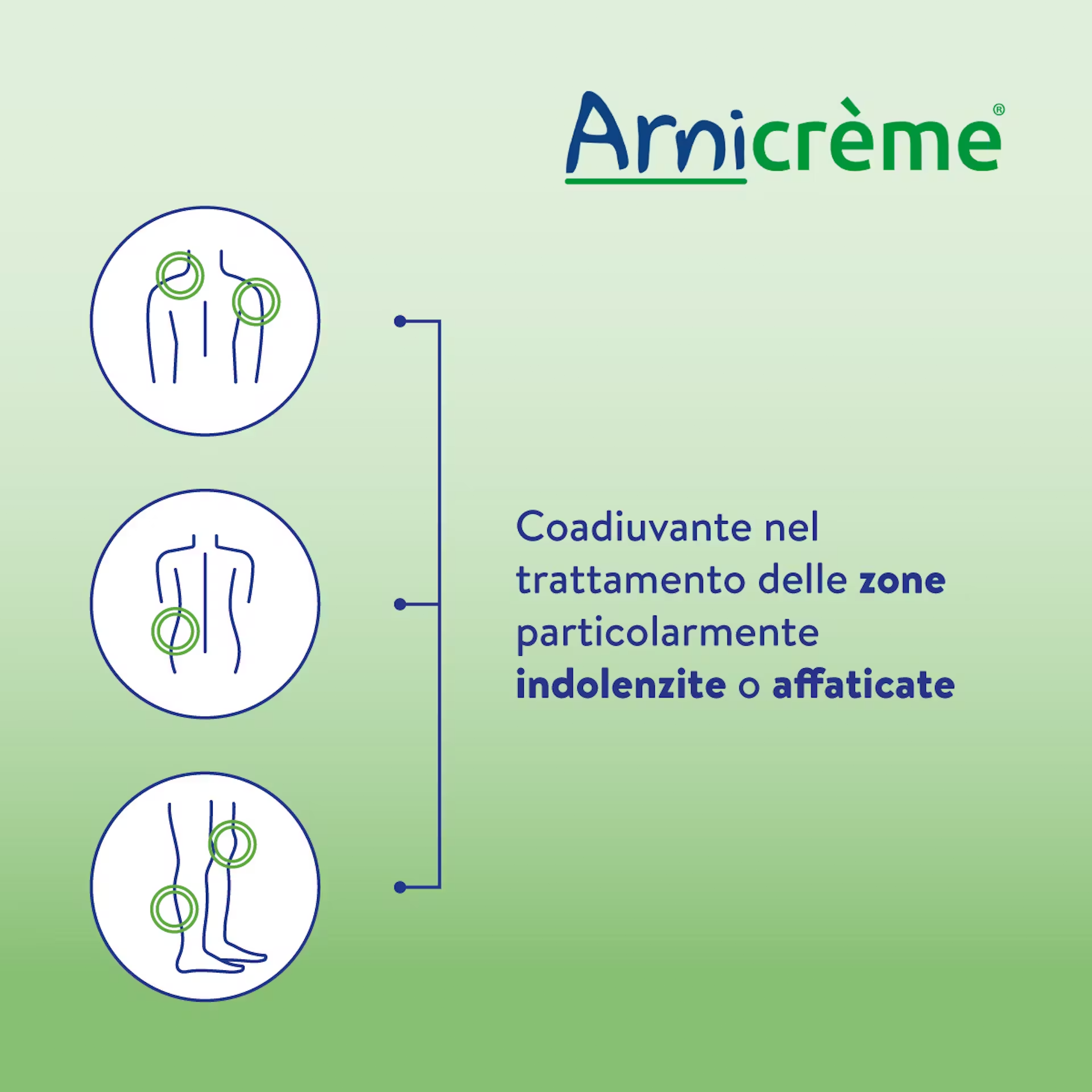 image - 986333742 - ARNICREME NF 70 G - 4761341_3.png